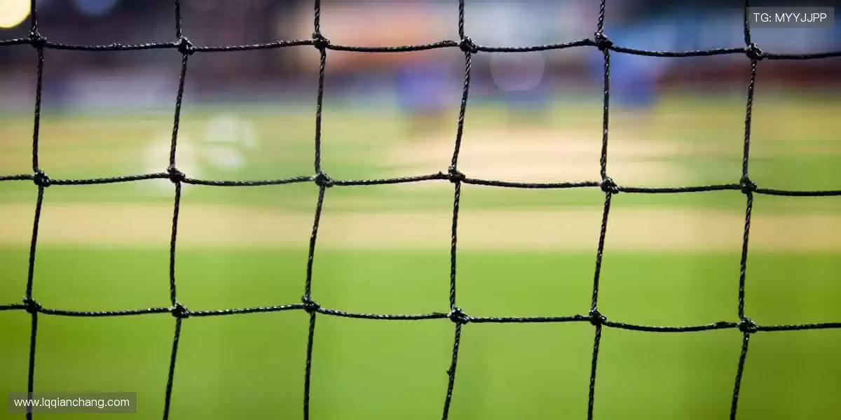 潮流周边，不止于看，更要亲身感受！🎯👕